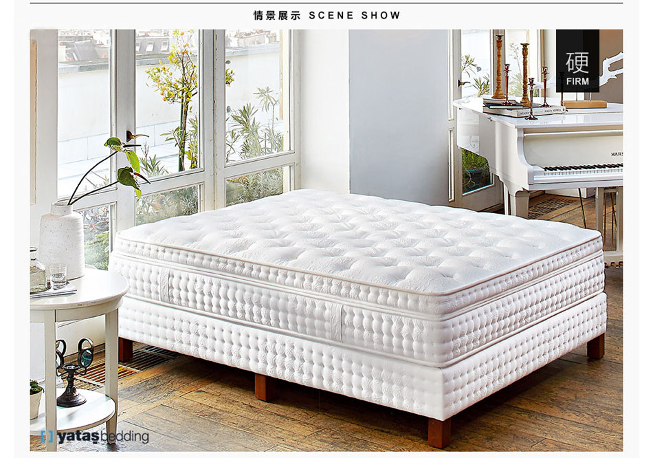 香蕉视频软件下载91香蕉视频在线观看款式